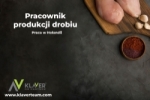 Praca Za Granicą- Pracownik Produkcji Drobiu- Praca Od Zaraz!