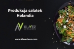 Praca Za Granicą- Pracownik Produkcji Sałatek- Od Zaraz!