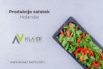 Praca W Holandii - Produkcja Sałatek - Od Zaraz!