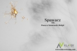Spawacz/monter Tig &#8211; Belgia