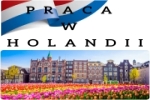 Obsługa Maszyn Do Sadzenia Roślin - Holandia