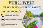 Holandia/pakowanie Ryb/dla Par