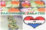 Pakowanie Sałatek Lub Kurczaków - Holandia