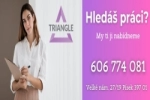 Czechy - Pracownik Produkcji Puzzli